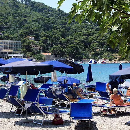 Seaside With A Swimming Pool Mokosica, Dubrovnik - 23230 Apartament *